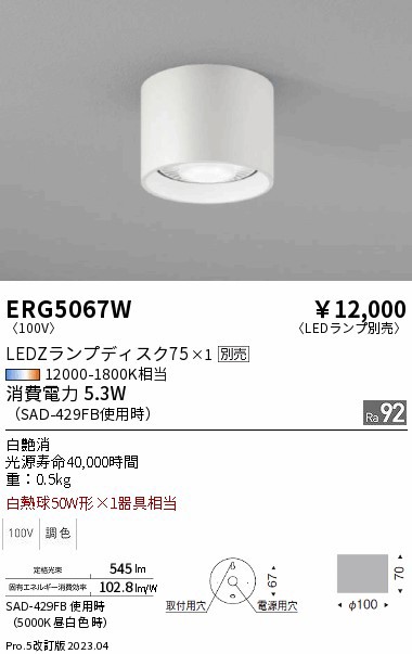 遠藤 遠藤 ERG5067Wの通販は