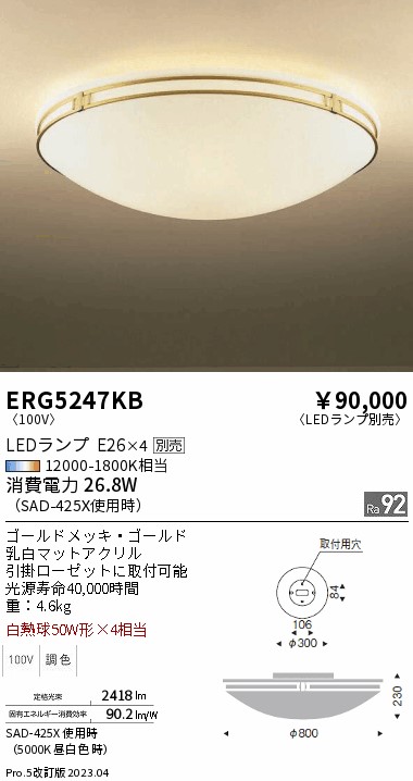 遠藤 遠藤 ERG5247KBの通販は