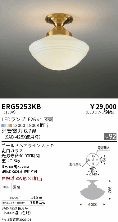 遠藤 遠藤 ERG5253KBの通販は