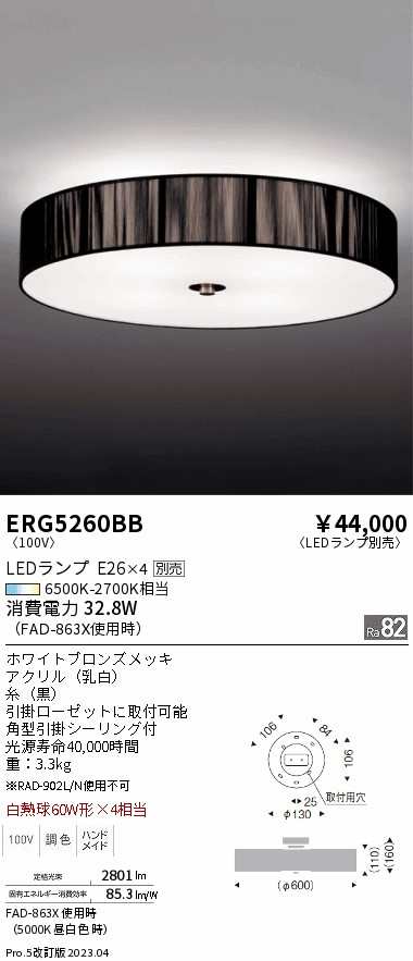 遠藤 遠藤 ERG5260BB