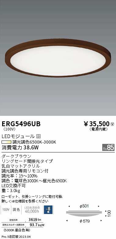 遠藤 遠藤 ERG5496UB