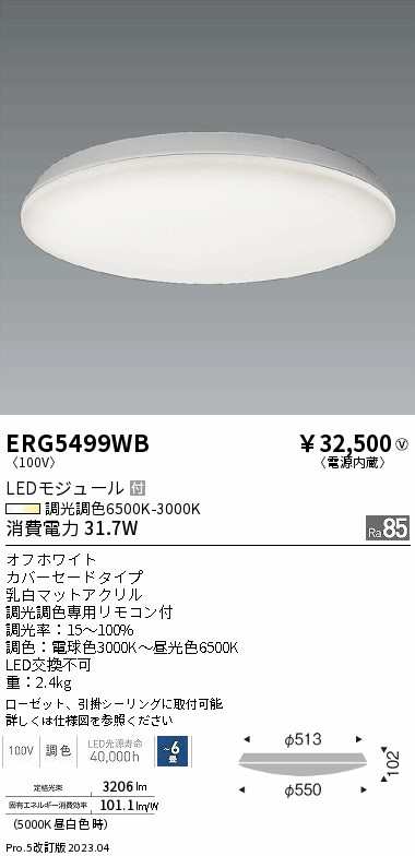 遠藤 遠藤 ERG5499WB