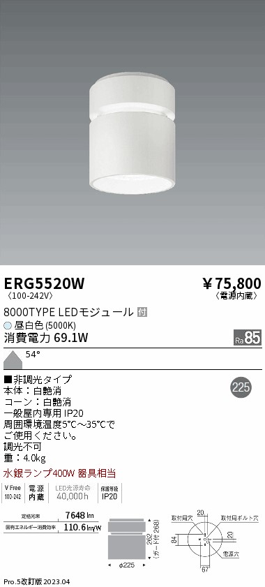 遠藤 遠藤 ERG5520Wの通販は