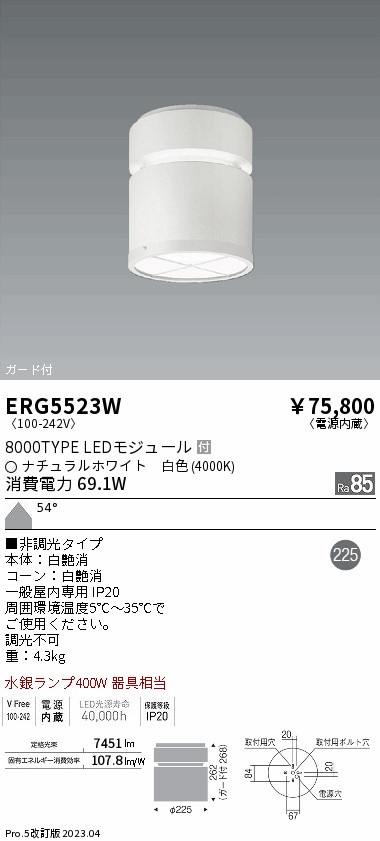 遠藤 遠藤 ERG5523Wの通販は