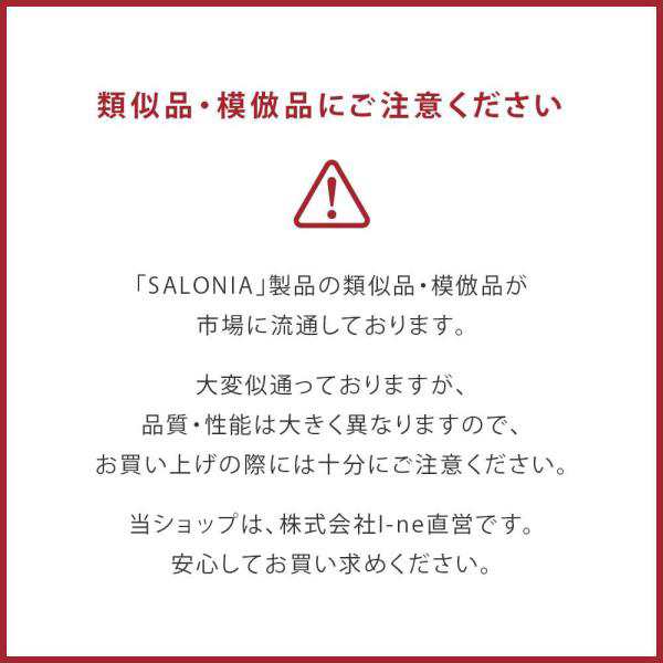 【スマプレ会員限定 10%OFFクーポン】 SALONIA サロニア 公式 限定 スターターセット ヘアアイロン ドライヤー ストレートヘアアイロン 2