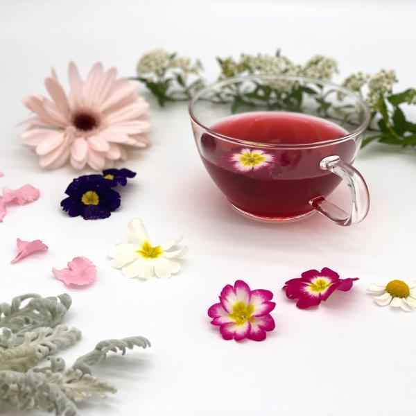紅茶 ギフト ロンネフェルト クイーンオブチェリー500g 紅茶 茶葉