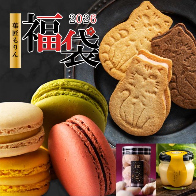 数量限定 福袋2026 スイーツ 4種21個 大人気 スイーツ 詰め合わせ 福袋 ギフト マカロン 猫型ショコラサンド プリン クッキー 誕生日プレゼント 誕生日 お試し お礼 お祝い 送料無料