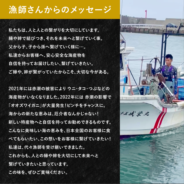 北海道産 訳あり蒸しオオズワイガニ 約4kg 大サイズ （1杯あたり約300g〜） 送料無料の通販は