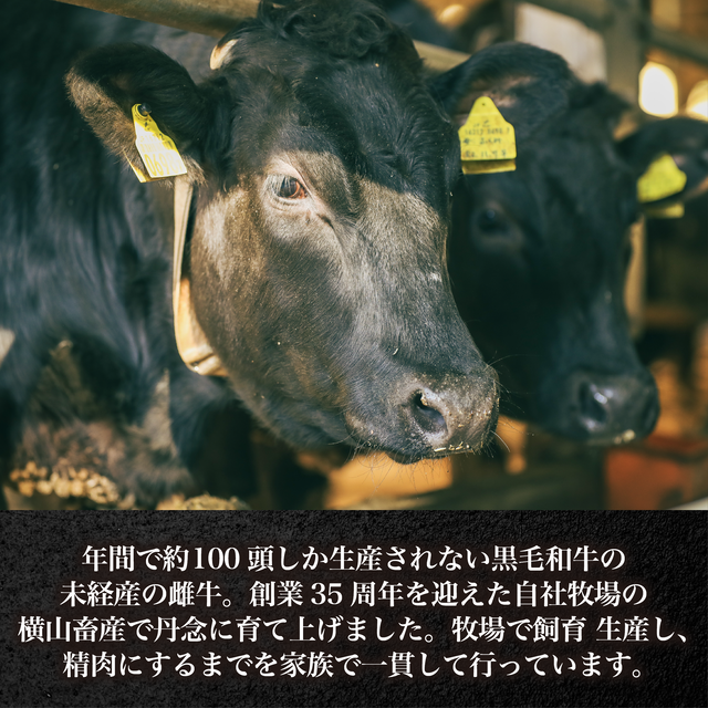 四万十牛 こじゃんと贅沢さな切り落とし焼肉400g【貨物輸送無料】高知  四万十 国産 牛 刃針牛  採草地直売 肉 牛 和牛 黒毛和牛 ご報奨金 贅沢さ 肩ロース ウデ 桃 焼肉 72b4