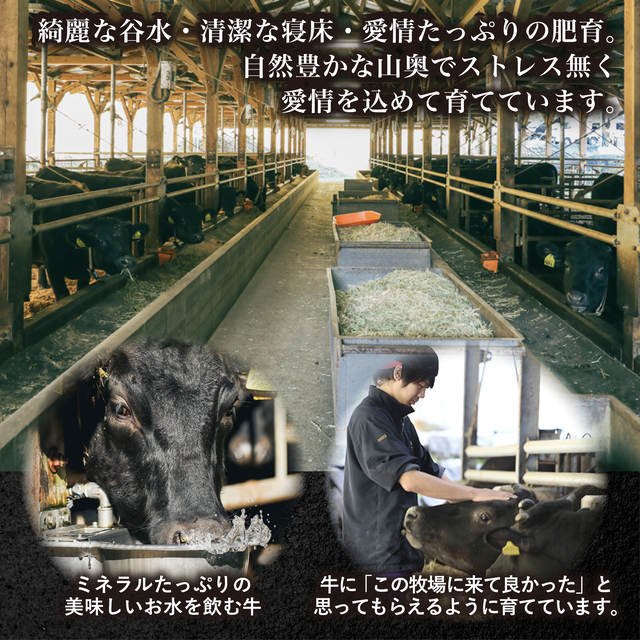 四万十牛 こじゃんと贅沢さな切り落とし焼肉400g【貨物輸送無料】高知  四万十 国産 牛 刃針牛  採草地直売 肉 牛 和牛 黒毛和牛 ご報奨金 贅沢さ 肩ロース ウデ 桃 焼肉 72b4
