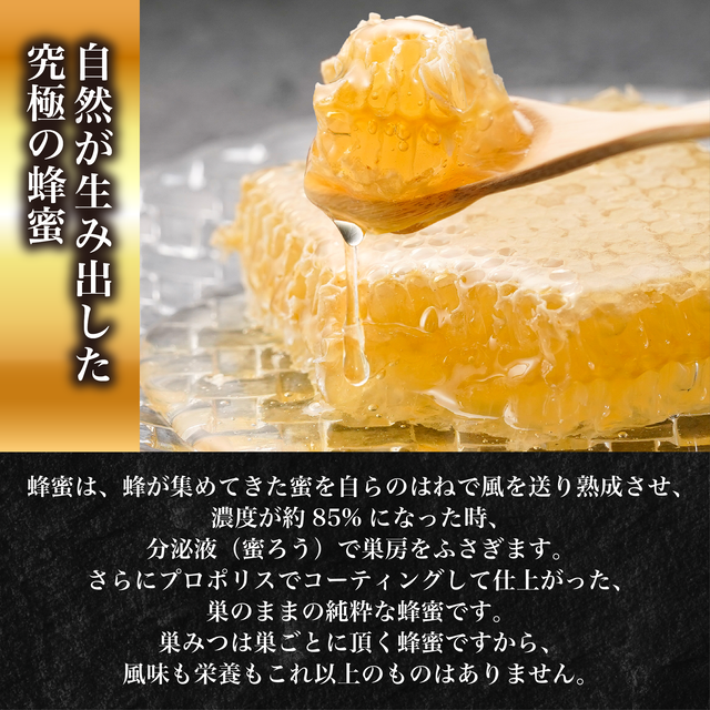 国産純粋極巣みつと花の道蜂蜜 早春みつ&野山みつセット 【送料込み