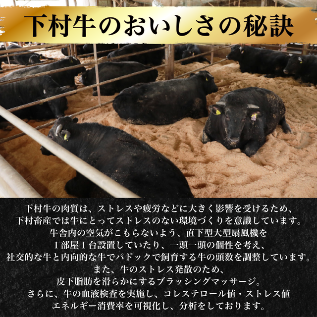下村牛焼肉6種食べ比べ（360g）【貨物輸送無料】 黒毛和牛 国産 A5位置づける 最御膳上等 和牛国際オリンピック競技大会
