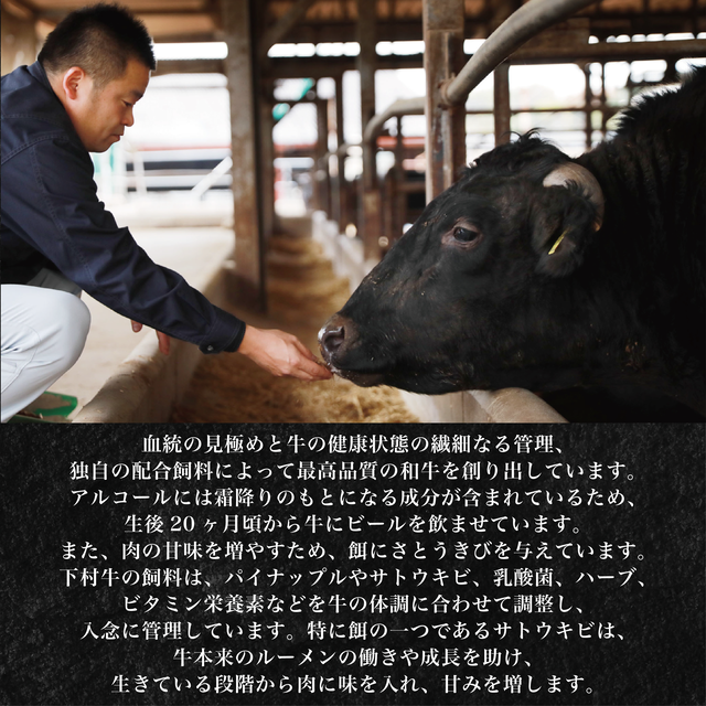 下村牛焼肉6種食べ比べ（360g）【貨物輸送無料】 黒毛和牛 国産 A5位置づける 最御膳上等 和牛国際オリンピック競技大会