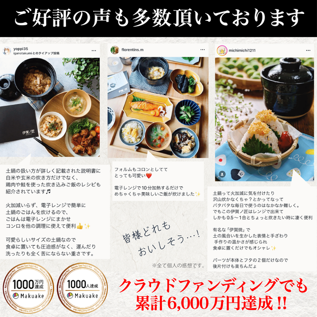 伊賀焼レンジ土鍋 伊賀ノ匠 いがのたくみ 【送料無料】 レンジで10分