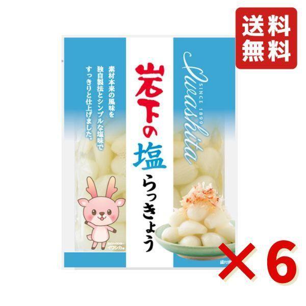 岩下 岩下の塩らっきょう 90g 6袋 岩下食品 塩らっきょう カレー トッピング 漬物 食べきりサイズ おつまみ 送料無料 らっきょう