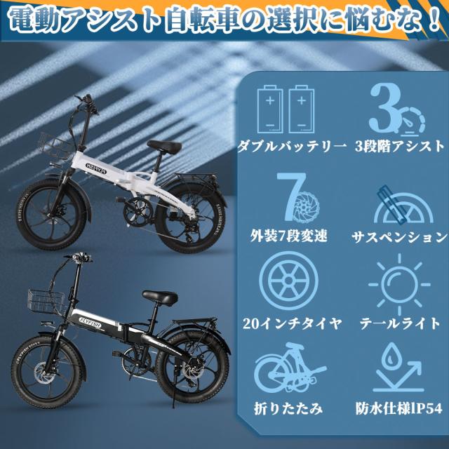 2025年モデル 型式認定 免許不要 公道走行可能】電動自転車 FLYFISH