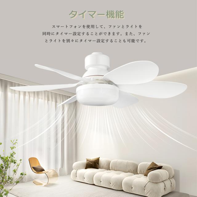 10台セット】 シーリングファンライト 調光調色 風量調整