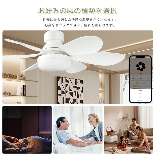 【8台セット】 シーリングファンライト 調光調色 風量調整 シーリングライト ファン付き6畳 8畳 シーリングライト LED 小型 扇風機 吹き抜け シーリング ファン 照明 サーキュレーター スマートライト ファン付き照明 おしゃれ E26口金 リビング ダイニング 寝室 玄関