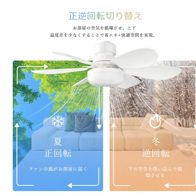 【8台セット】 シーリングファンライト 調光調色 風量調整 シーリングライト ファン付き6畳 8畳 シーリングライト LED 小型 扇風機 吹き抜け シーリング ファン 照明 サーキュレーター スマートライト ファン付き照明 おしゃれ E26口金 リビング ダイニング 寝室 玄関