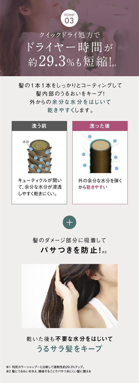 白髪染めシャンプー リシリアフレル RISHIRIA Furel カラーシャンプー