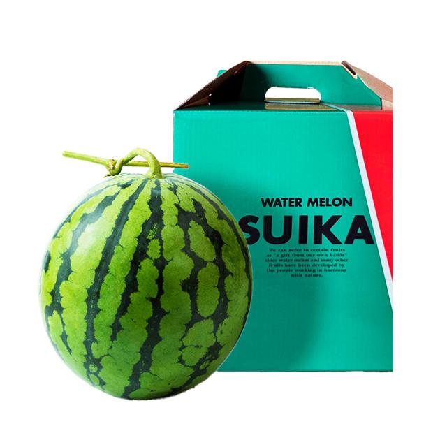 【 お中元 2026/7/5〜8/10お届け】 坂口農産 北海道 富良野 鳳凰 スイカ 秀品 大玉（４ｋｇ） １玉 SG007 1個 鳳凰スイカ 西瓜 フルーツ 果物 青果 お取り寄せ 特産 贈答品 内祝い お礼 お祝い ギフト  実用的 高級 送料無料 御中元_2