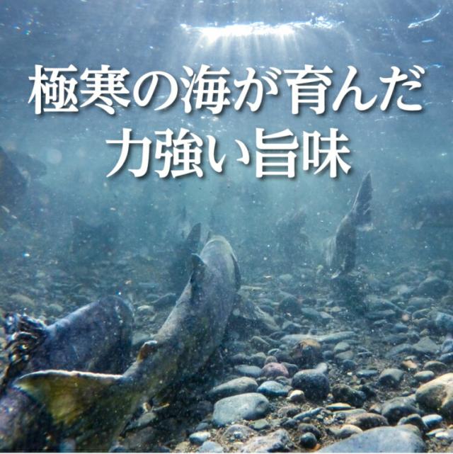 大粒 鮭いくら しょうゆ漬け 500g 北海道 いくら イクラ 醤油いくら 醤油イクラ グルメ いくら醤油漬け シャケイクラ 最高級 高級 海鮮 ご飯のお供 ごはんの友 ギフト お取り寄せグルメ 贈り物 贈答_2
