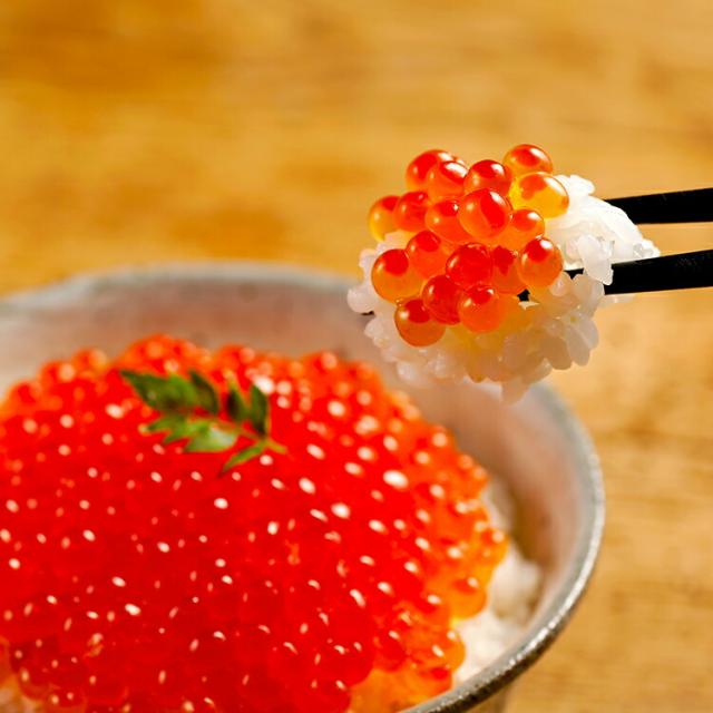 大粒 鮭いくら しょうゆ漬け 500g 北海道 いくら イクラ 醤油いくら 醤油イクラ グルメ いくら醤油漬け シャケイクラ 最高級 高級 海鮮 ご飯のお供 ごはんの友 ギフト お取り寄せグルメ 贈り物 贈答_9