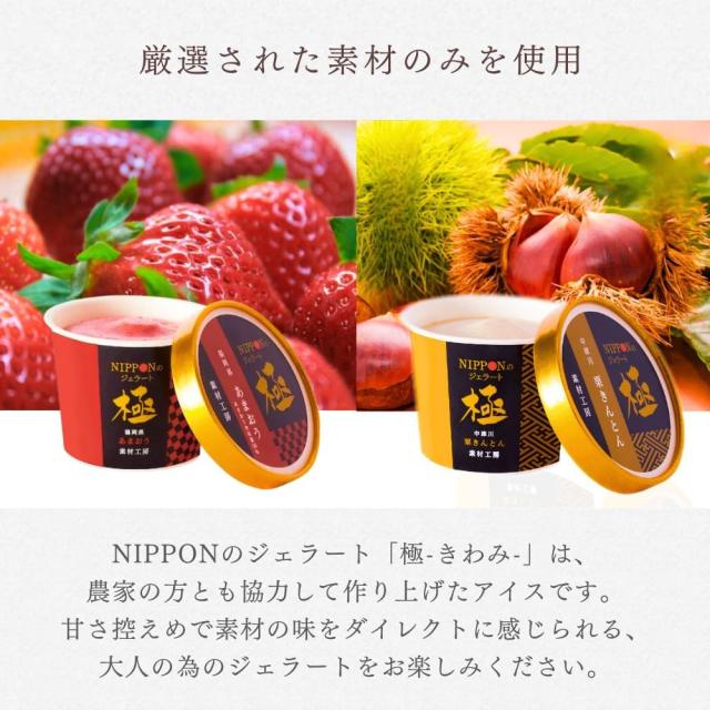 NIPPONのジェラート極 16個セット 8種×2 母の日 スイーツ アイス