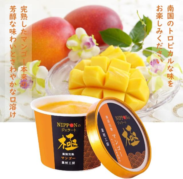 NIPPONのジェラート極 マンゴー 16個入 アイス ジェラート スイーツ