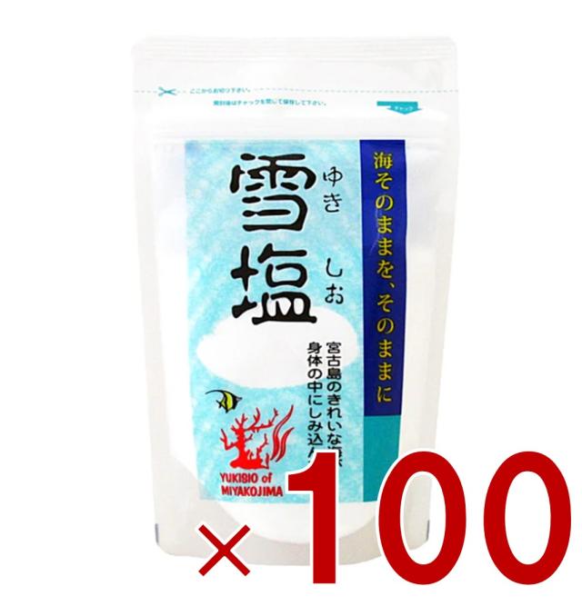 【12-15日限定 タイムセール】雪塩 パラダイスプラン 宮古島 120g パウダータイプ スタンドパック 塩 調味料 ミネラル 塩分補給 熱中症対策 沖縄 お土産 贈り物 人気 天ぷら 100個