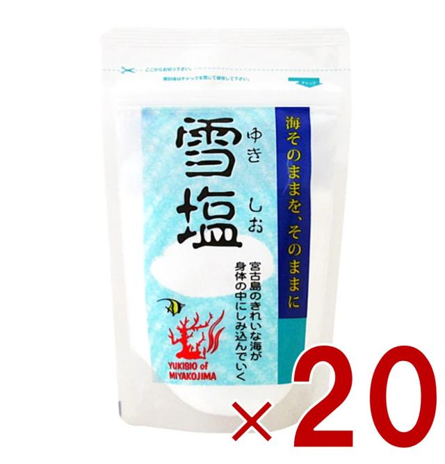 【※13-16日期間限定タイムセール※】雪塩 パラダイスプラン 宮古島 120g パウダータイプ スタンドパック 塩 調味料 ミネラル 塩分補給 熱中症対策 沖縄 お土産 贈り物 人気 天ぷら 20個