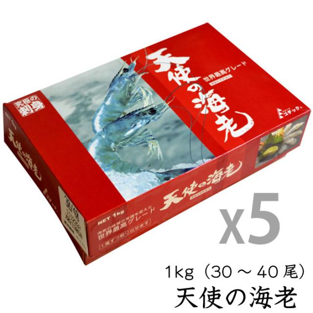 エリザベート・ガラコンサート　25周年DVD BOX   特典クリアファイル付き エリザベート・ガラコンサート 25周年DVD BOX 特典クリア