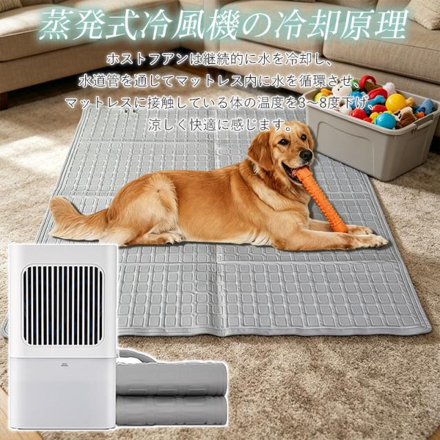 水冷マット ペット用 ペットベッド 冷却パッド 敷きパッド 冷水循環パッド 折りたたみ式 犬猫用 Type-C充電 3段階調整 室_5