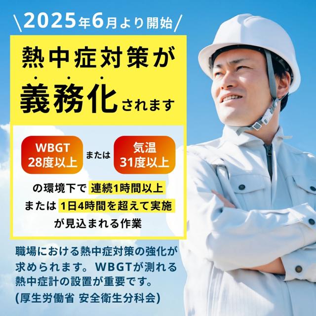 10個【適格請求書発行可能】JIS規格適合 黒球式熱中症計 WBGT 暑さ指数