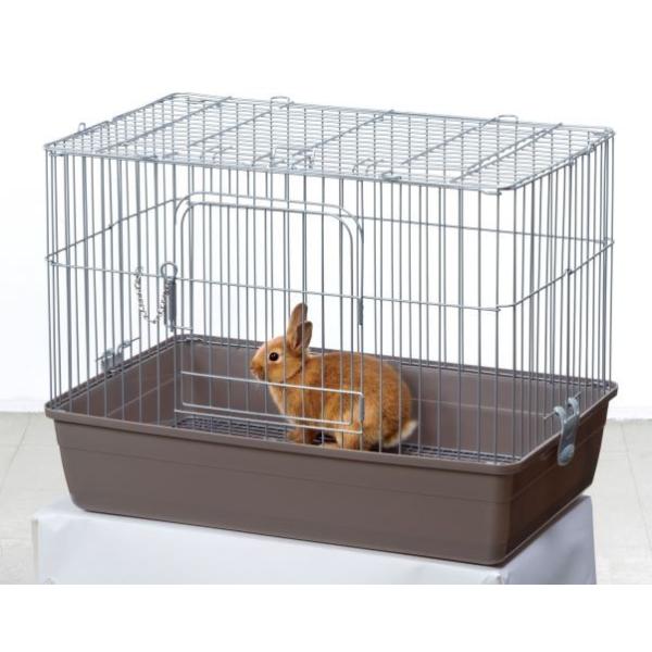 うさぎが上手に飼えるリビングルームＬ/ ウサギ 小動物 用品(4906456546023)