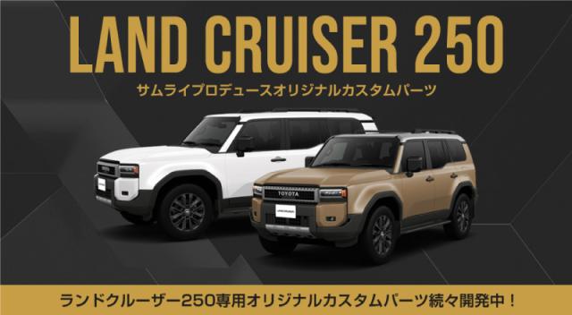 ランドクルーザー250 サイドステップ内側 スカッフプレート フロント・リアセット 6P ブラックヘアライン ランクル250 専用 カスタム パーツ アクセサリー オプション 内装 保護_1