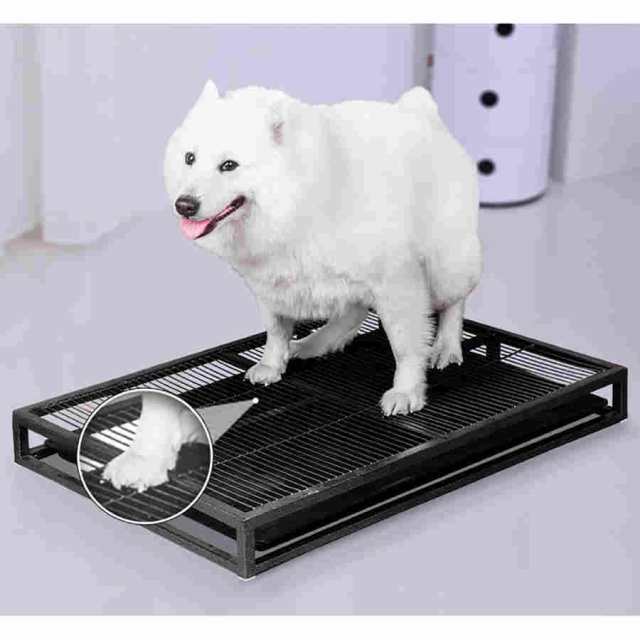 猫 トイレ、大型犬 ゲージ、ペット トイレ、ペットトイレ、犬のトイレトレー、ステンレス製犬用トイレ、大型犬用トイレトレイ、足を乾いた状態に保ち、床を保護の通販は