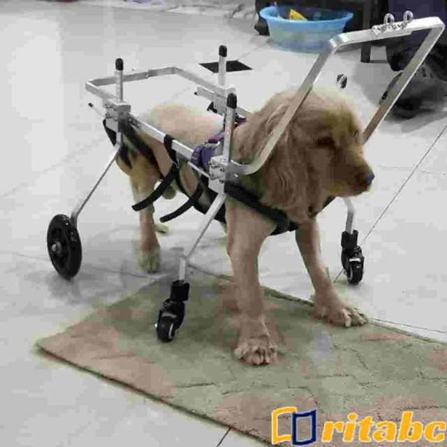 犬用歩行器 親友 - 犬車椅子調節可能な4輪ステンレス鋼カートペット/ 犬用歩行器 親友 - 犬車椅子調節可能な4輪ステンレス鋼カートペット/