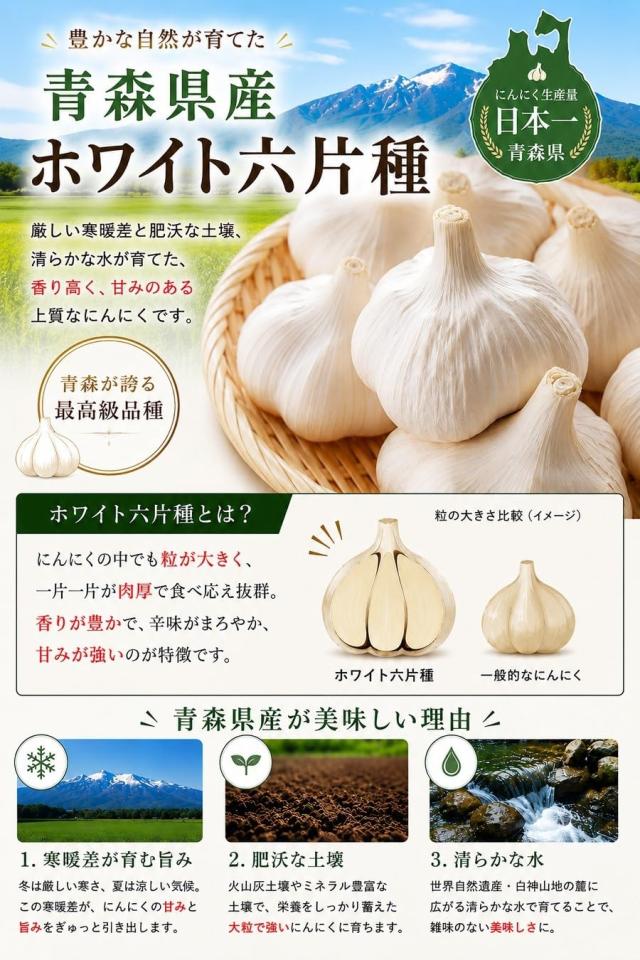 野菜 【 種用 】 青森県産 ホワイト六片 ニンニク にんにく 大きめ