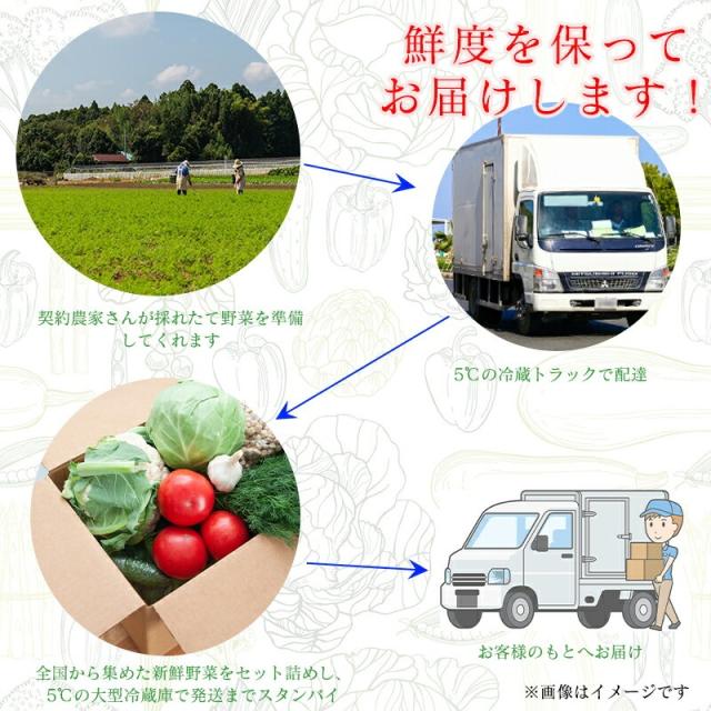 焼き鮭 レンチンするだけ 切り身 冷凍 鮭 加熱済み5kg 約90切入 個包装 訳あり 銀鮭 切り落とし 塩鮭 家庭用_11