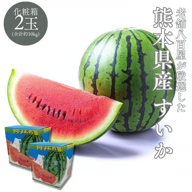 熊本 植木スイカ 紅大 2玉 植木ブランド 小玉すいか 約2.3kg 2玉
