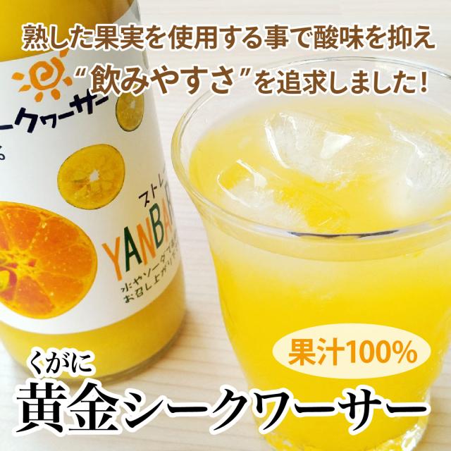黄金シークワーサー 500ml ×12本セット マイルドタイプ 原液 山原 やんばる 沖縄産 シークヮーサー 果汁100％ ジュース ストレート ノビレチン 琉球フロント_1
