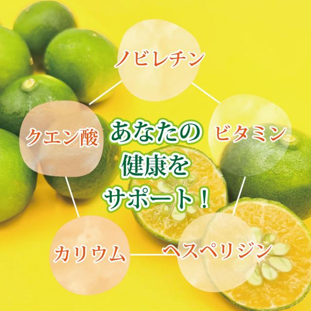 黄金シークワーサー 500ml ×12本セット マイルドタイプ 原液 山原 やんばる 沖縄産 シークヮーサー 果汁100％ ジュース ストレート ノビレチン 琉球フロント_4
