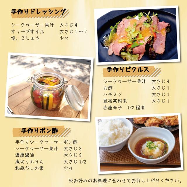 黄金シークワーサー 500ml ×12本セット マイルドタイプ 原液 山原 やんばる 沖縄産 シークヮーサー 果汁100％ ジュース ストレート ノビレチン 琉球フロント_6
