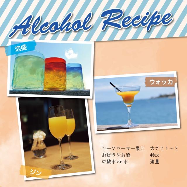 黄金シークワーサー 500ml ×12本セット マイルドタイプ 原液 山原 やんばる 沖縄産 シークヮーサー 果汁100％ ジュース ストレート ノビレチン 琉球フロント_7