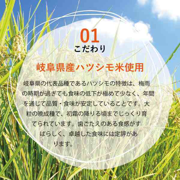 PLUS グルテンフリー ライスパスタ パッケリ 60g ×15 送料無料 白米 小麦不使用 米粉麺 乾麺 国産 3taroの通販は