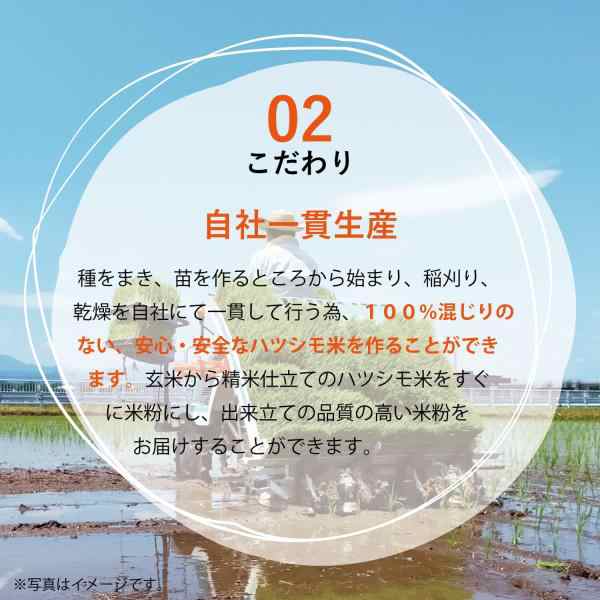 PLUS グルテンフリー ライスパスタ パッケリ 60g ×15 送料無料 白米 小麦不使用 米粉麺 乾麺 国産 3taroの通販は