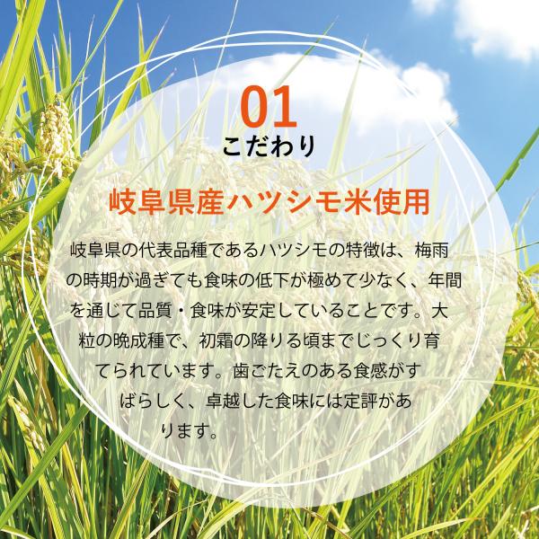 （賞味期限26年3月31日〜）PLUS グルテンフリー ブラウンライスパスタ フェットチーネ 幅7.5ｍｍ 80g ×15 送料無料 フィットチーネ 玄米 小麦不使用 米粉麺 乾麺 国産 パスタ