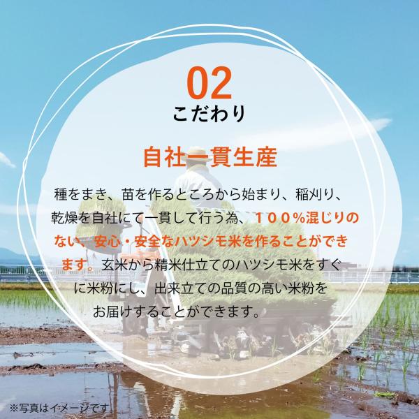 （賞味期限26年3月31日〜）PLUS グルテンフリー ブラウンライスパスタ フェットチーネ 幅7.5ｍｍ 80g ×15 送料無料 フィットチーネ 玄米 小麦不使用 米粉麺 乾麺 国産 パスタ