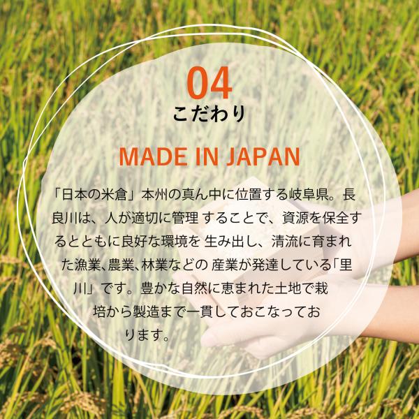 （賞味期限26年3月31日〜）PLUS グルテンフリー ブラウンライスパスタ フェットチーネ 幅7.5ｍｍ 80g ×15 送料無料 フィットチーネ 玄米 小麦不使用 米粉麺 乾麺 国産 パスタ